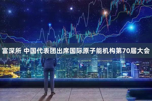 富深所 中国代表团出席国际原子能机构第70届大会